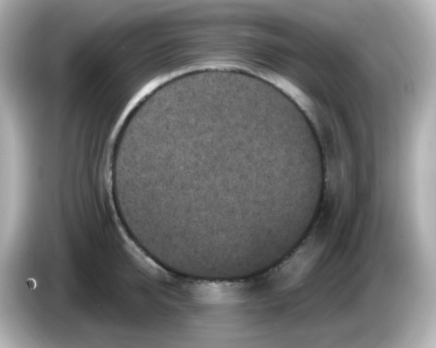 X0000086050950200704091207