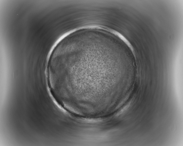 X0000086050951200704091207