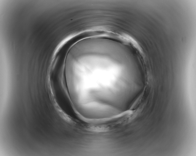 X0000086050952200704091207