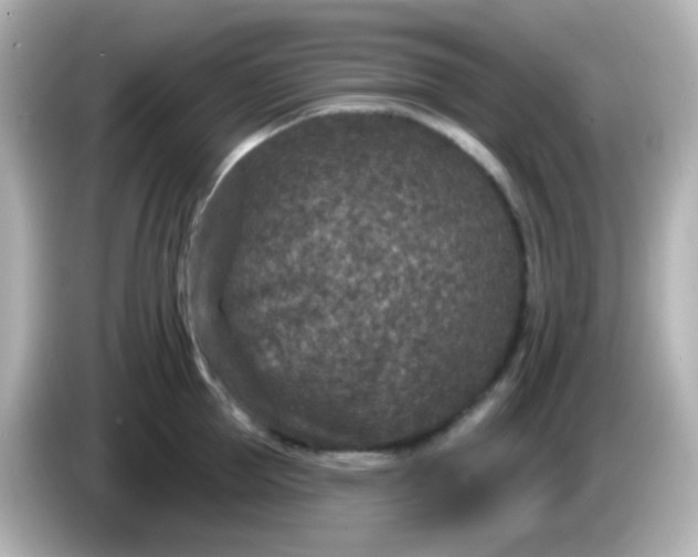 X0000086050953200704091207