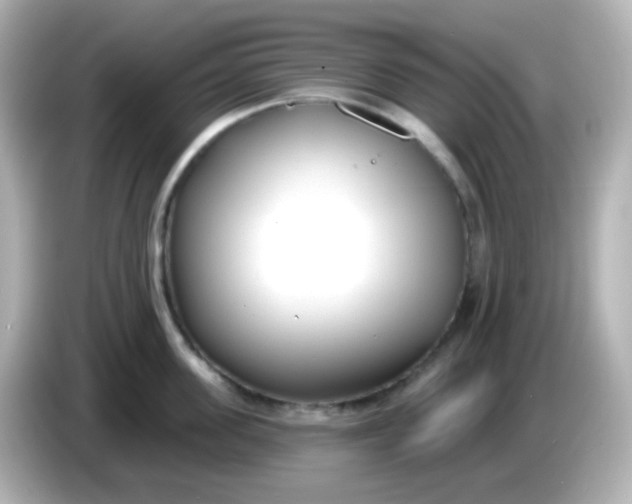 X0000086050955200704091207