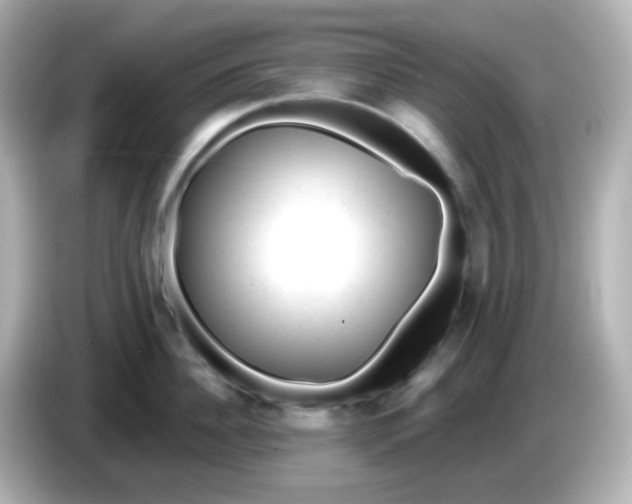 X0000086050956200704091207