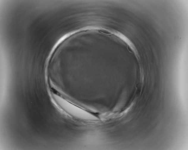 X0000086050958200704091207