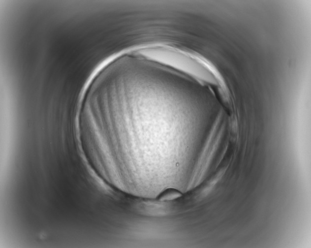 X0000086050959200704091207