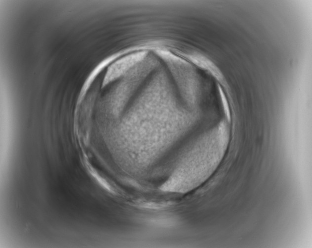 X0000086050960200704091207