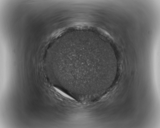 X0000086050965200704091206