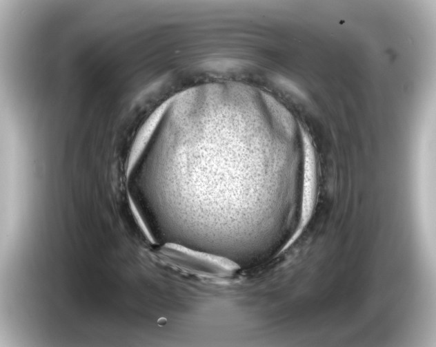 X0000086050966200704091206