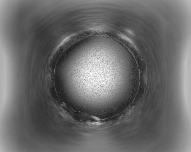 X0000086050968200704091206