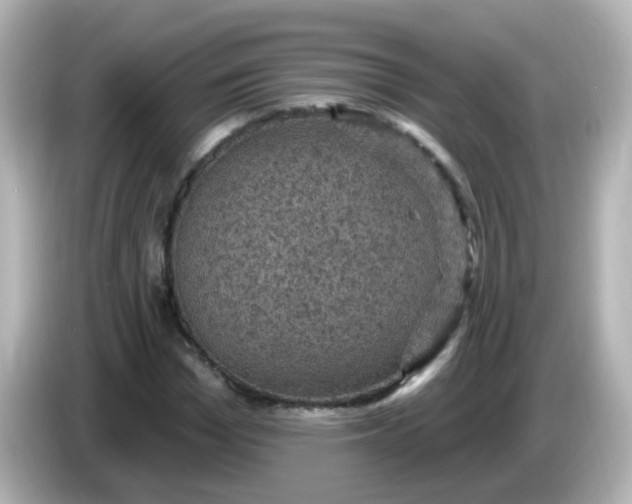 X0000086050969200704091206