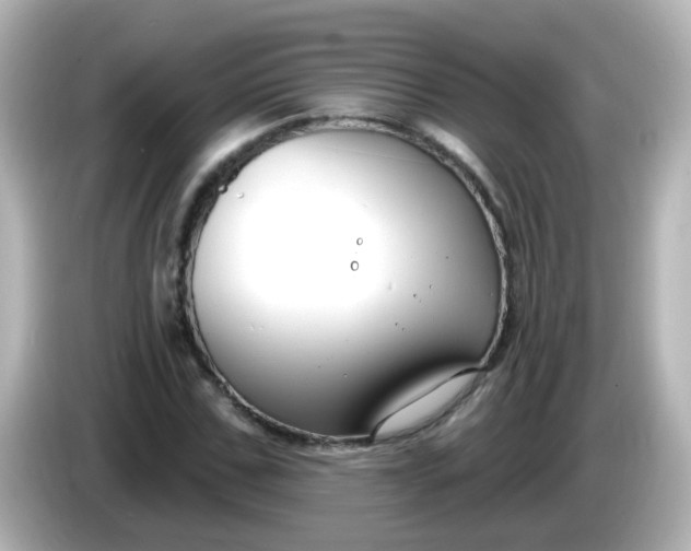X0000086050971200704091206