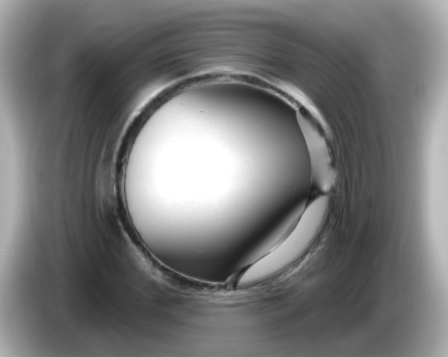 X0000086050972200704091206
