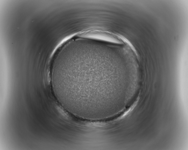 X0000086050973200704091206