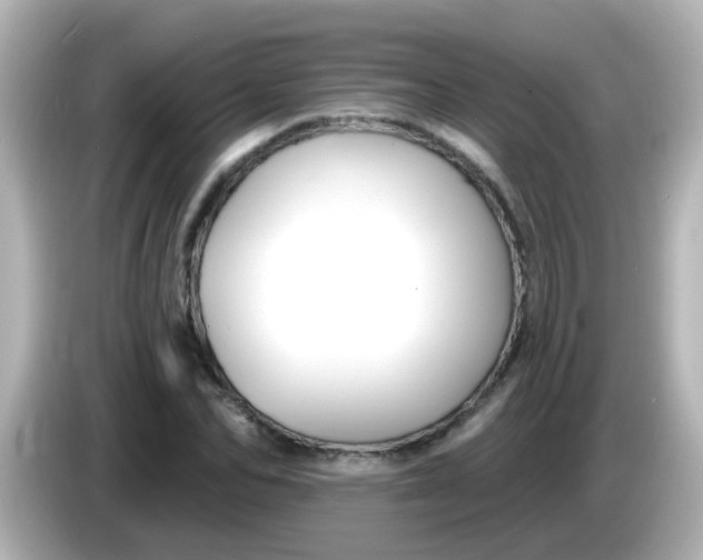 X0000086050974200704091206
