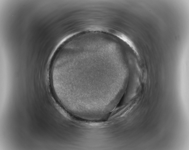 X0000086050976200704091206