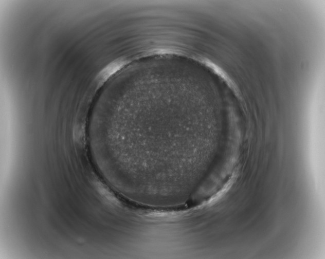 X0000086050977200704091206