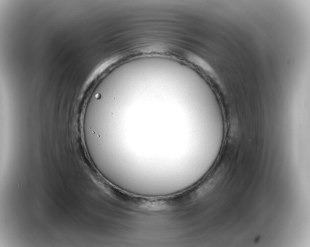 X0000086050978200704091206
