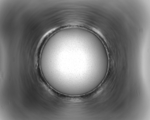 X0000086050979200704091206