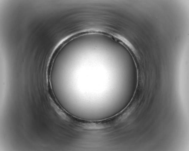 X0000086050980200704091206