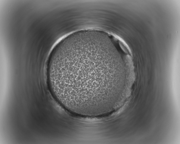 X0000086050983200704091206