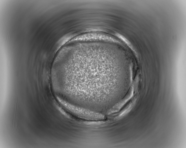 X0000086050985200704091206