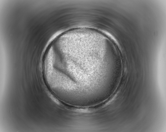 X0000086050990200704091206