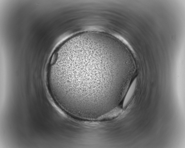 X0000086050991200704091206