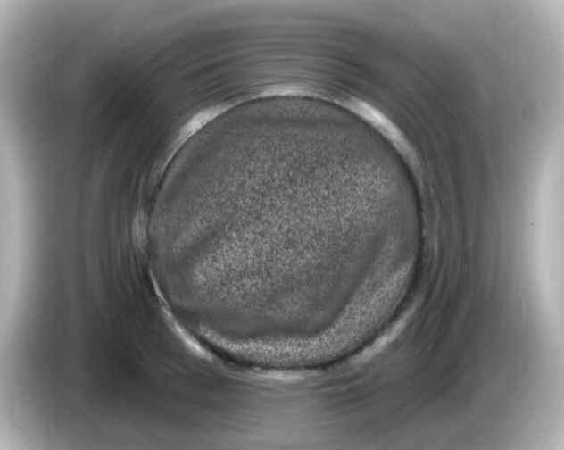 X0000086050993200704091206