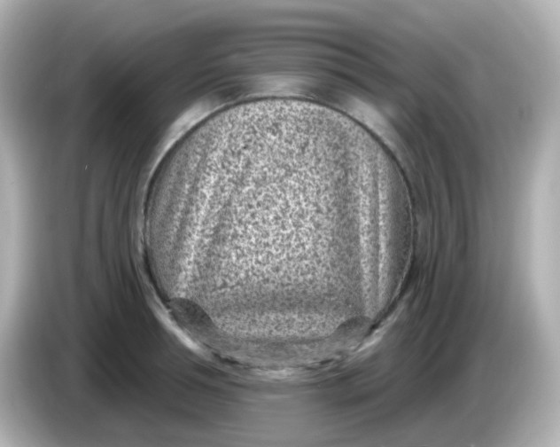X0000086050994200704091206