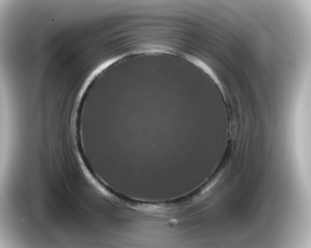 X0000086050995200704091206