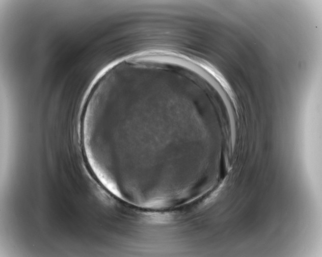 X0000086050996200704091206