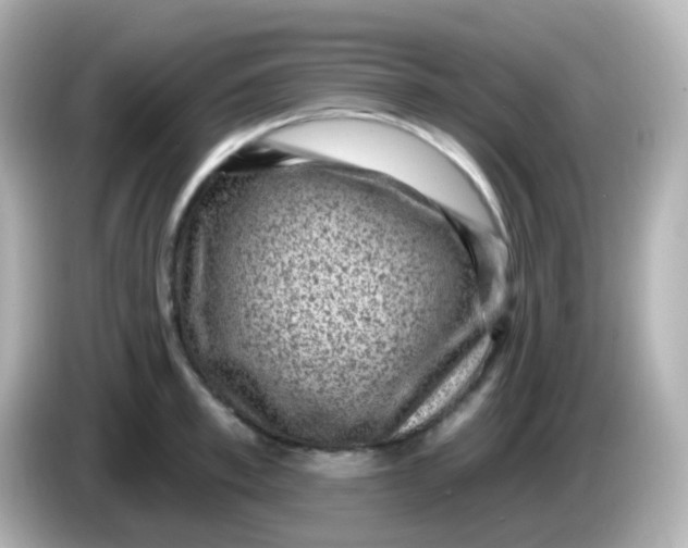 X0000086050997200704091206