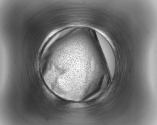 X0000086050998200704091206