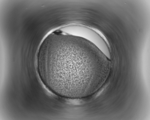 X0000086050999200704091206