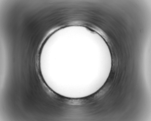 X0000086051000200704091206