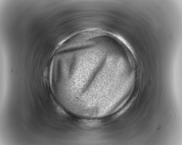 X0000086051001200704091206