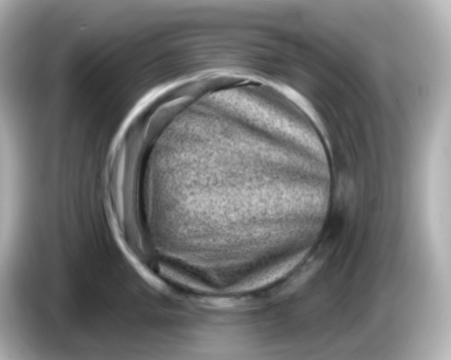 X0000086051005200704091206