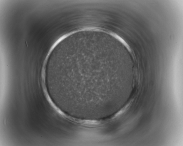 X0000086051007200704091206