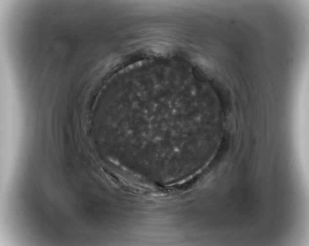 X0000086051009200704091205