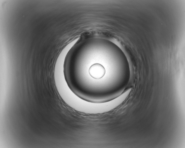 X0000086051010200704091205