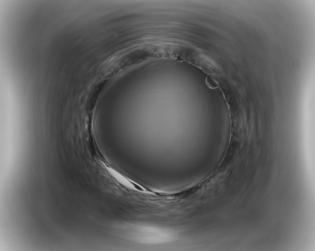 X0000086051013200704091205