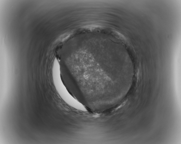 X0000086051014200704091205