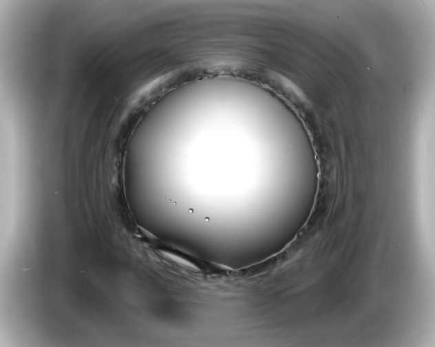 X0000086051016200704091205