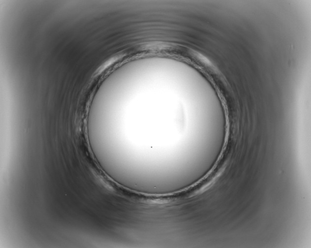 X0000086051017200704091205