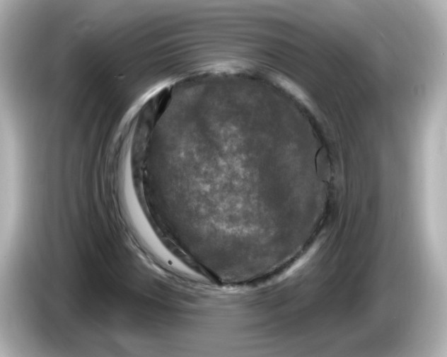 X0000086051018200704091205