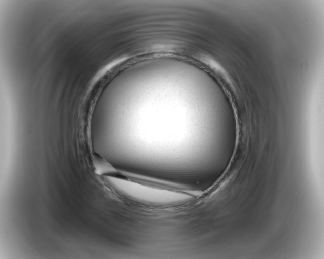 X0000086051019200704091205