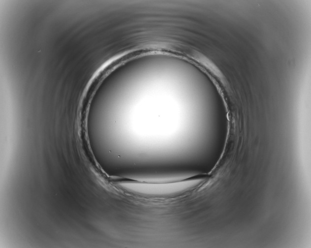 X0000086051020200704091205