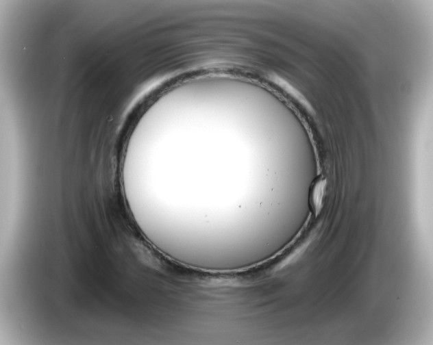 X0000086051021200704091205