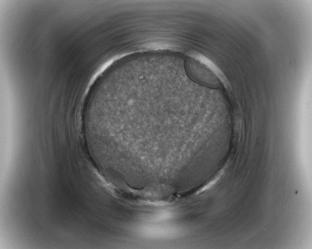 X0000086051023200704091206