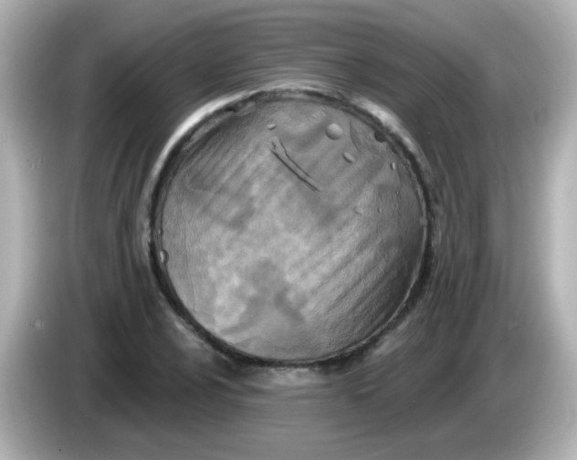 X0000086051024200704091206