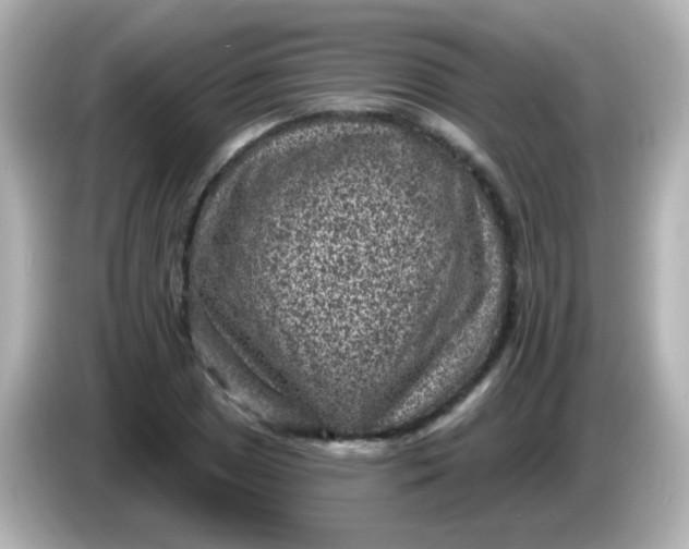 X0000086051025200704091206